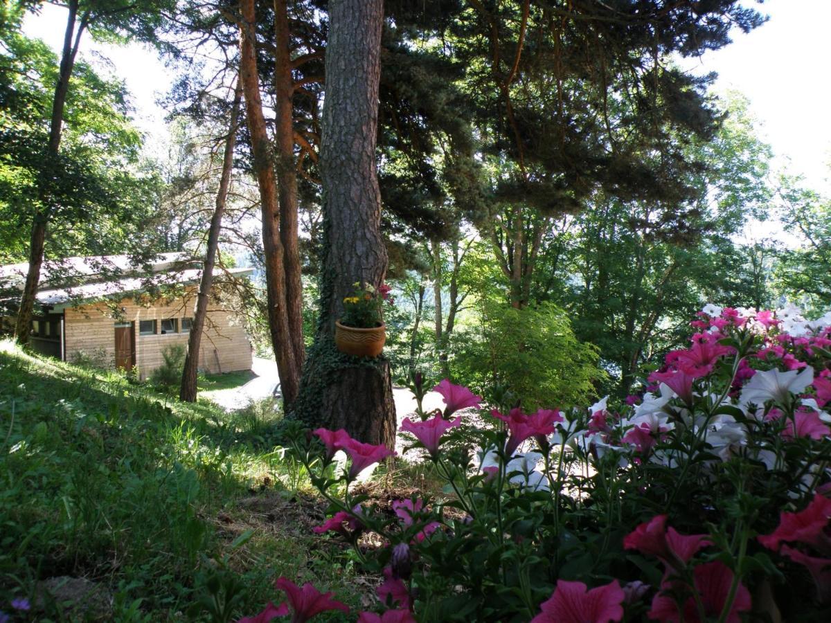 Bed and Breakfast Le Grand Val Lavastrie Esterno foto